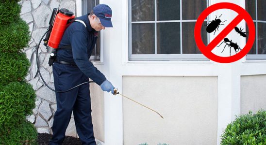 Evciler Fare İlaçlama böcek ilaçlama ve haşere kontrolü — ilaclama-tr.com